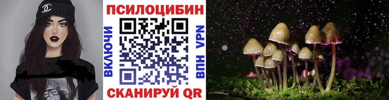 blacksprut ссылки  Куртамыш  Галлюциногенные грибы Psilocybe 